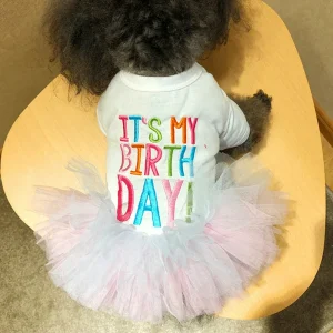 It's My Birthday Dog/Cat Outfit